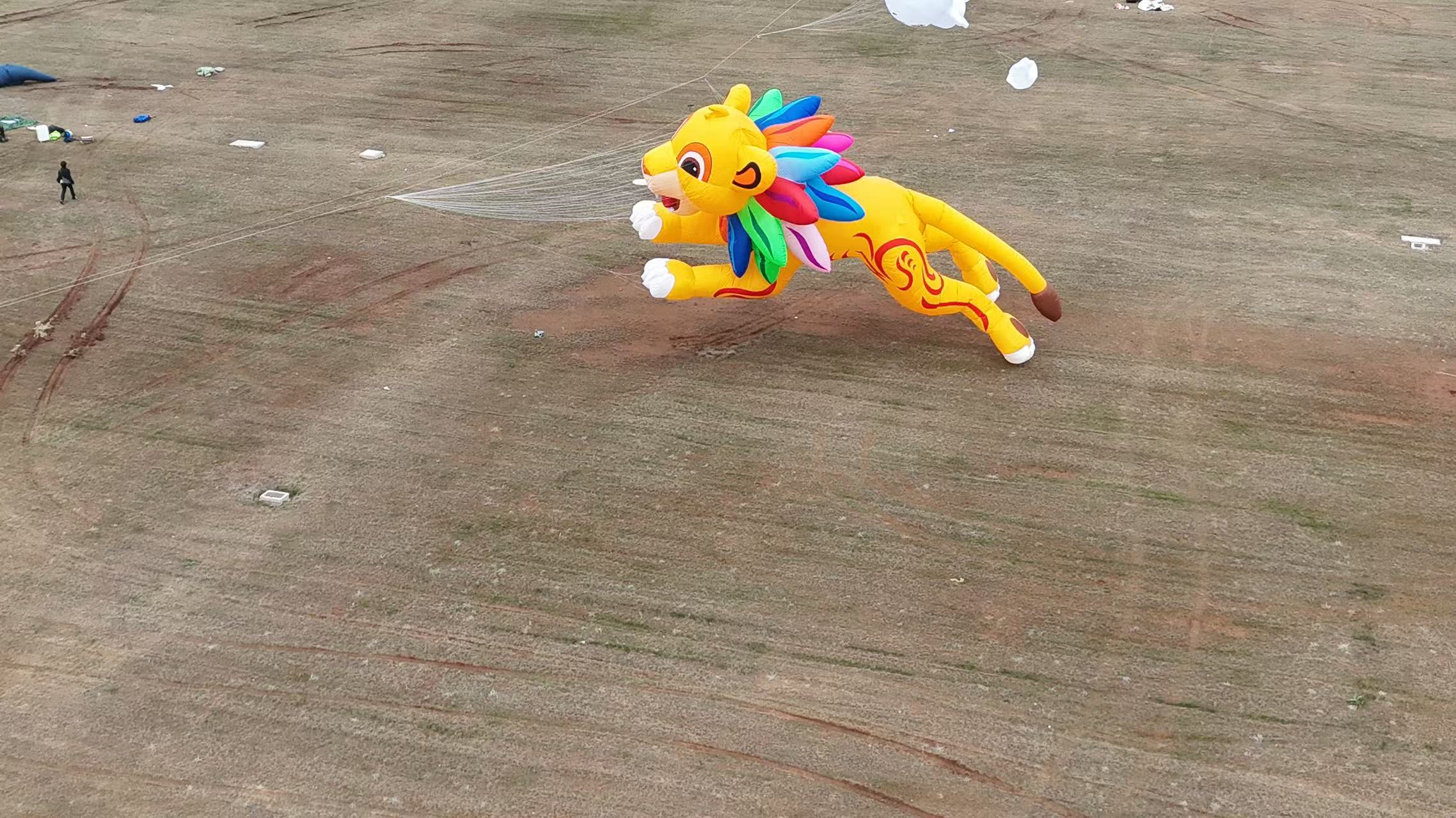 淮北市品牌风筝定制风筝定制 - 推荐