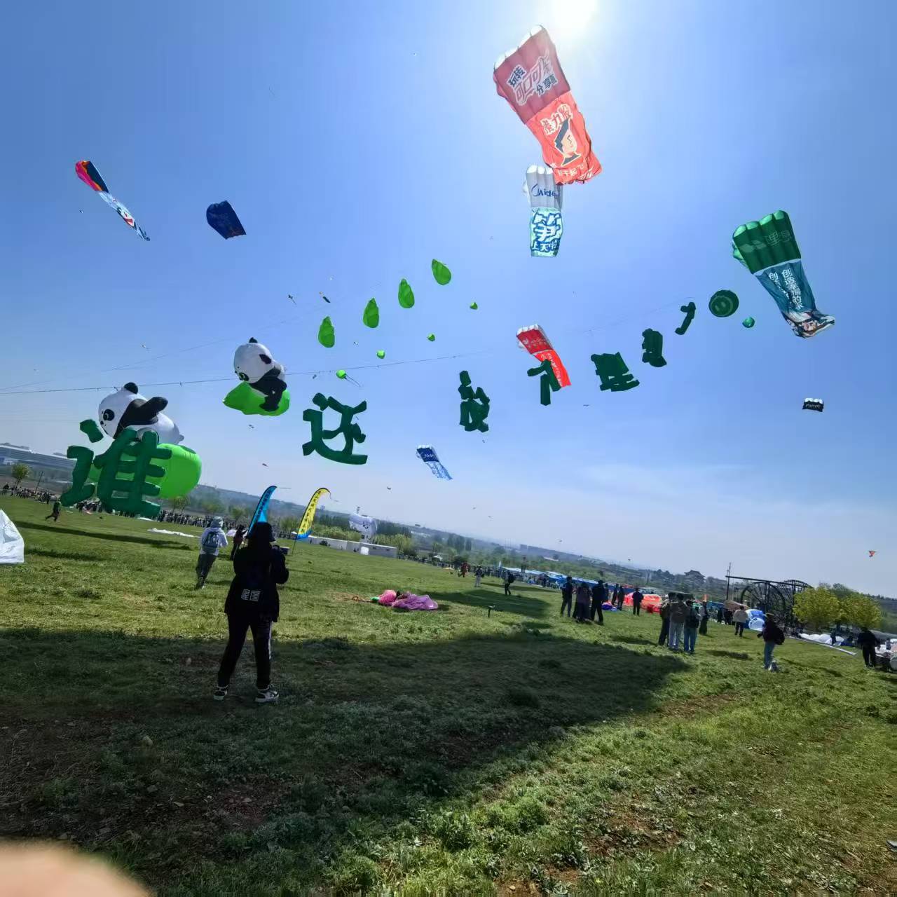 淮北市风筝批发风筝定制 - 哪里好
